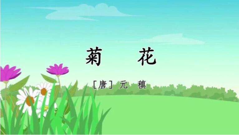 【经典诵读】之一百一十四：听郑亚尉老师读《菊花》